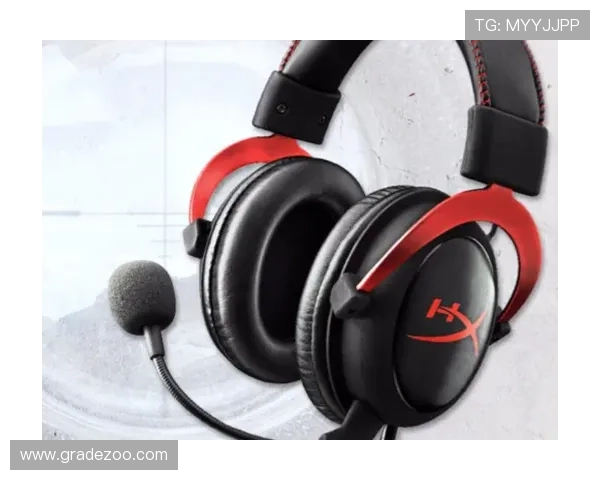 joker电子平台的最新技术升级，带来更流畅稳定的游戏环境体验