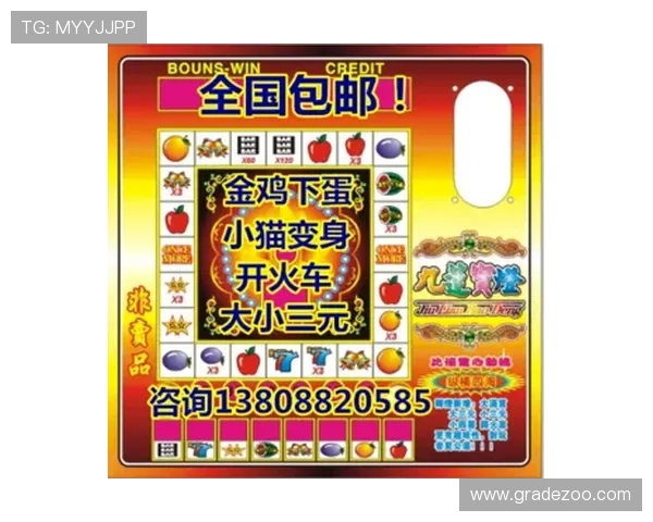 水果老虎机开户下载官网，注册流程与账号安全保障措施