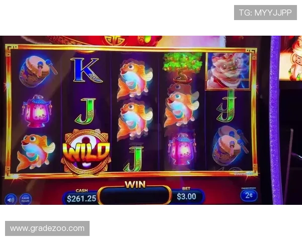 2024年最新老虎机旗舰网站大全，优质平台推荐及安全保障措施