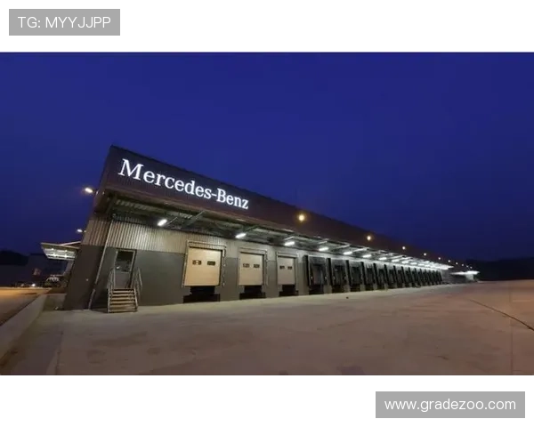 奔驰宝马官网多渠道客服与在线咨询服务指南确保用户在购车及售后环节获得及时支持