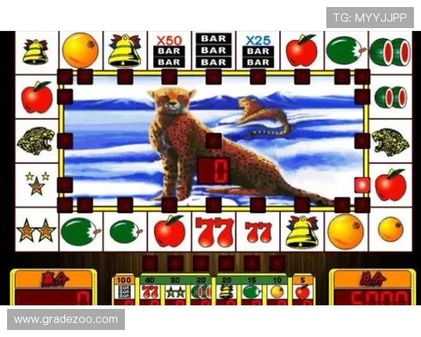 安全可靠水果机老虎机官方版下载，支持多平台多设备畅玩无忧