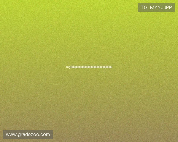 mg游戏不朽情缘新手入门必看攻略帮助新手玩家快速上手游戏体验